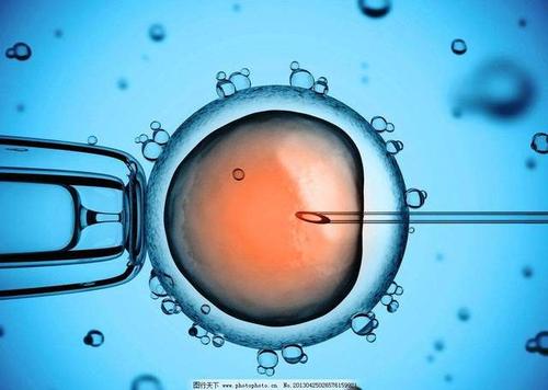 六安助孕提醒：教你美国试管婴儿怎么避免胚胎发育不全和胎停育？